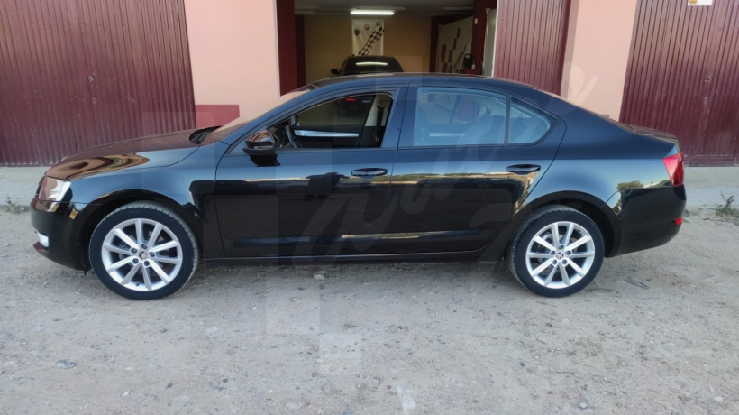 SKODA OCTAVIA 1.6 TDI 105 CV
