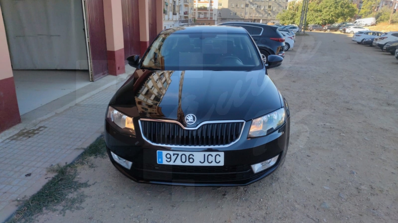 SKODA OCTAVIA 1.6 TDI 105 CV