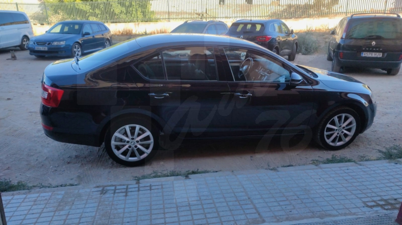 SKODA OCTAVIA 1.6 TDI 105 CV