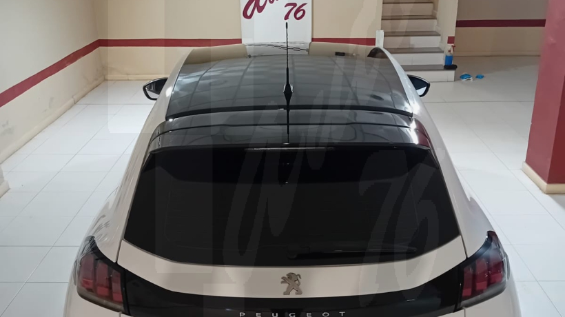 PEUGEOT 208 1.5 HDI 100 CV