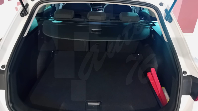 SEAT LEON 2.0 TDI 115 CV FAMILIAR